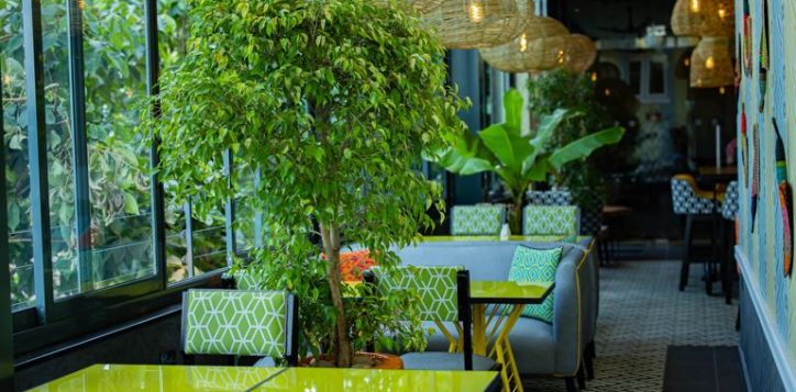 terrace-3-2