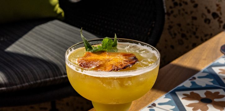 ibis-drinks-3700-32-2