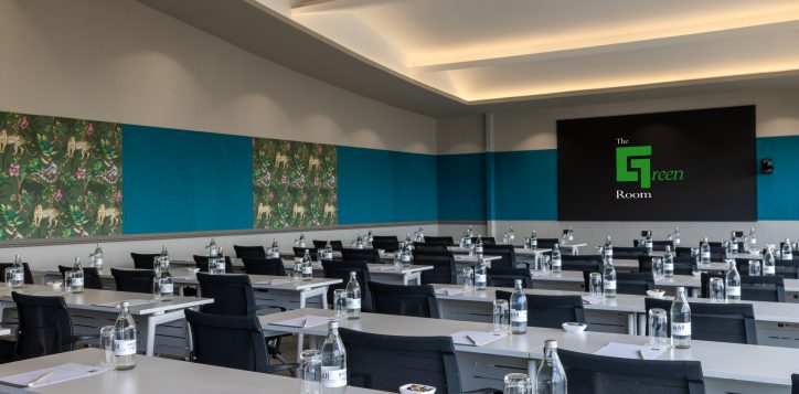ibis-greenroom-3700-18-2